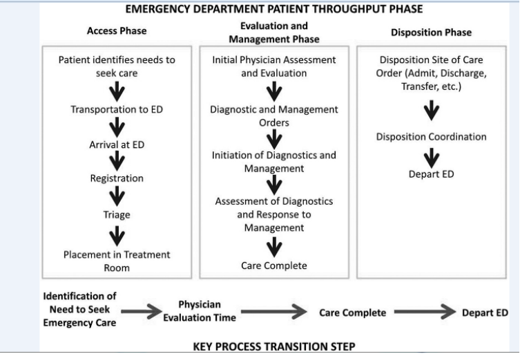 Emergency Department Throughput Phase