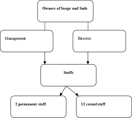 Organisational business structure
