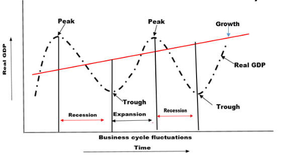 business cycle fluctuations