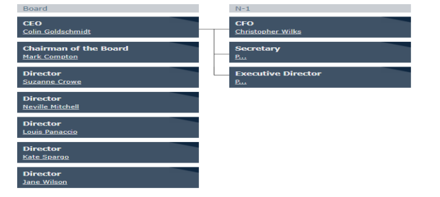  Organisational structure of Sonic Healthcare 