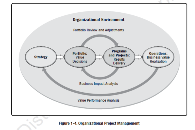 organizational project management