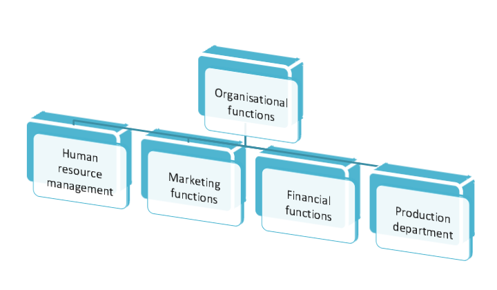 organizational functions